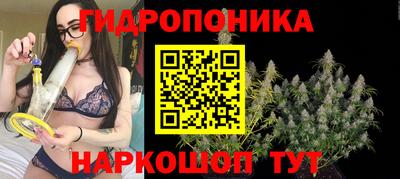 стаф Краснодар