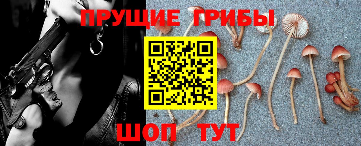Елизово  Псилоцибиновые грибы мухоморы  Псилоцибиновые грибы ЛСД  Вход с VPN 