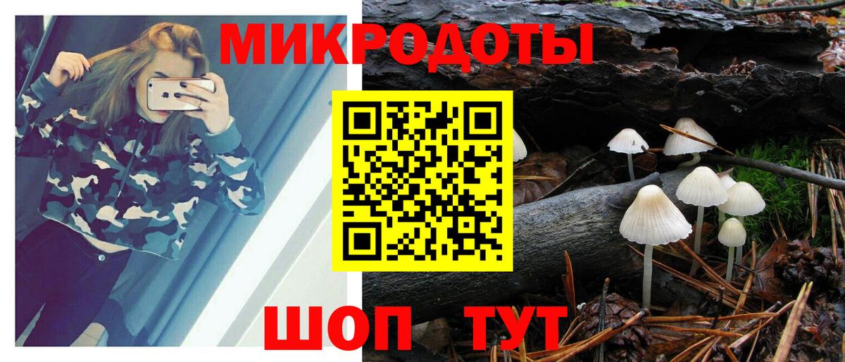 Псилоцибиновые грибы мицелий Елизово