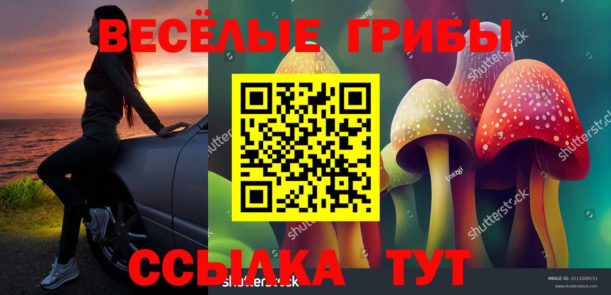 A PVP Елизово